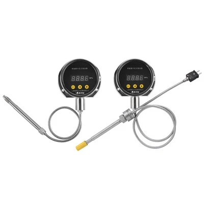 Intelligent Digital Display Capillary Melt Pressure Gauge